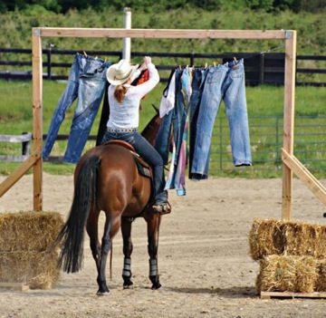 About The Only Way To Get A Horse Women To Do The Housework